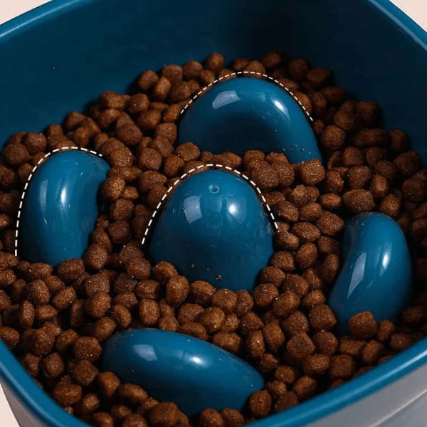 Gamelle anti glouton chaton - Surélevée à plots doux - SavourKitten™