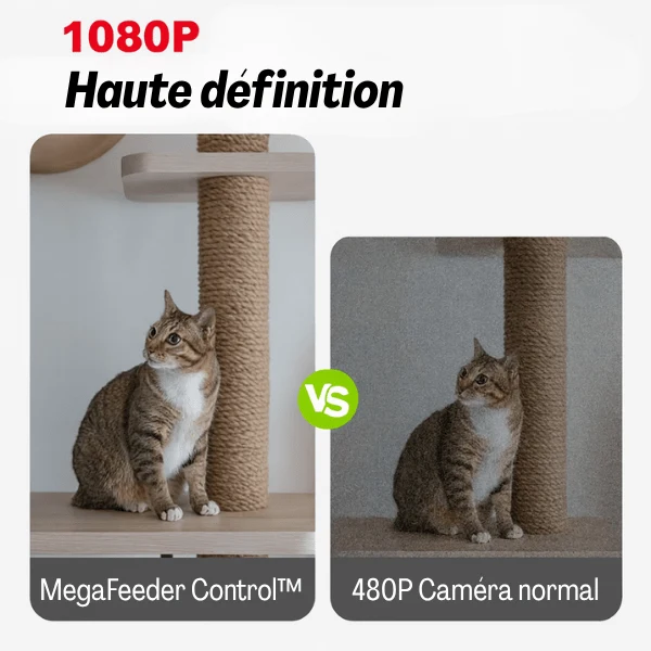 Distributeur croquette chat automatique 8L - MegaFeeder Control™
