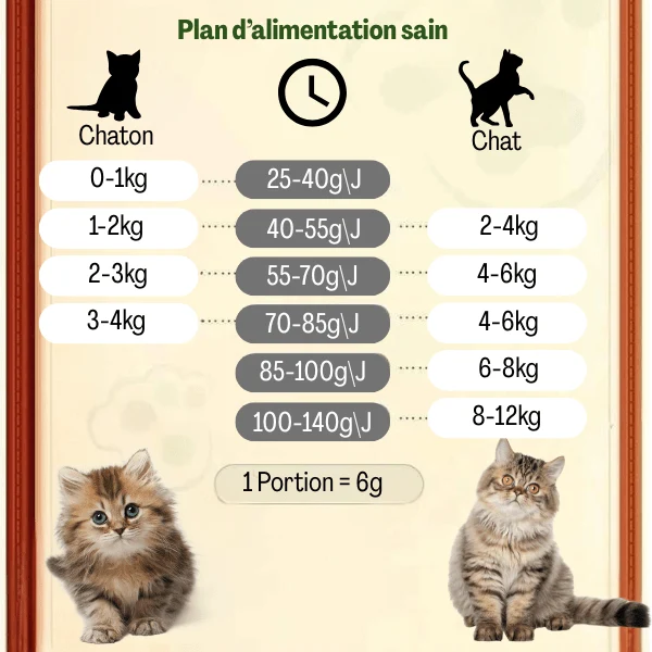 Distributeur croquette chat automatique 8L - MegaFeeder Control™
