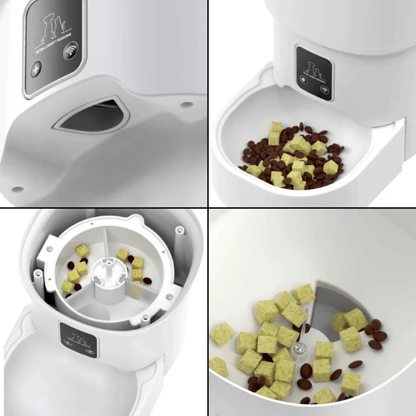 Distributeur croquette chat automatique - Royal Feeder™