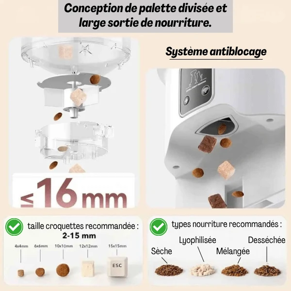 Distributeur croquette chat automatique - Royal Feeder™
