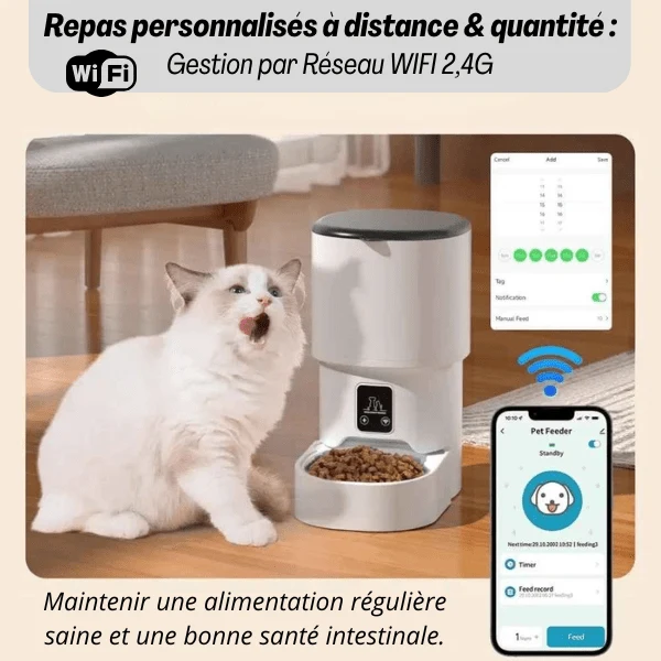 Distributeur croquette chat automatique - Royal Feeder™