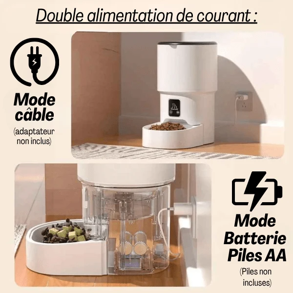 Distributeur croquette chat automatique - Royal Feeder™