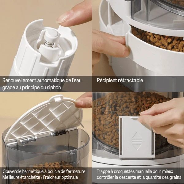 Distributeur croquette chat | Whisker Multifonction™