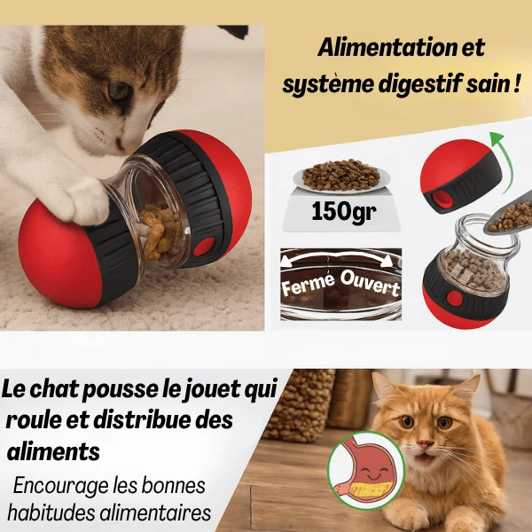 Distributeur de croquettes pour chat | Whisker Maze™