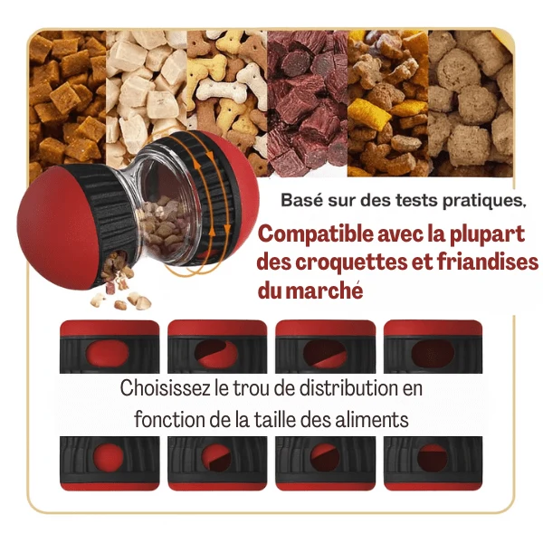 Distributeur de croquettes pour chat | Whisker Maze™