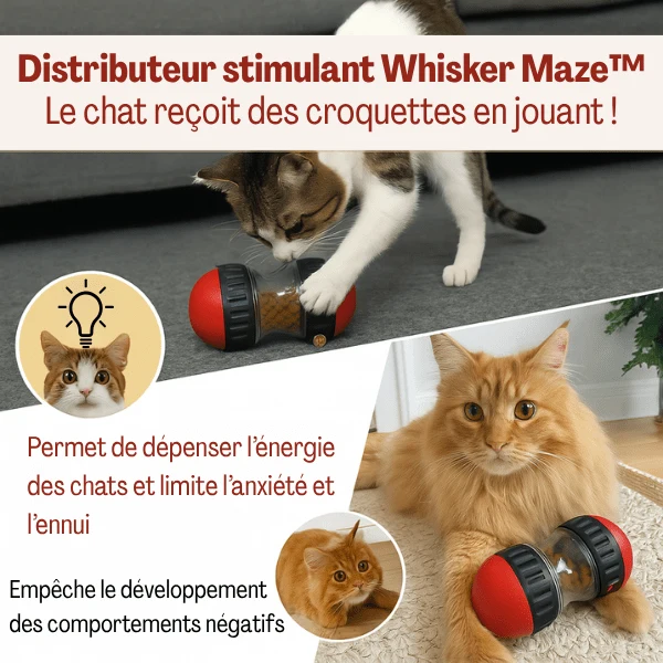 Distributeur de croquettes pour chat | Whisker Maze™