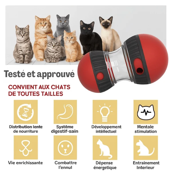 Distributeur de croquettes pour chat | Whisker Maze™