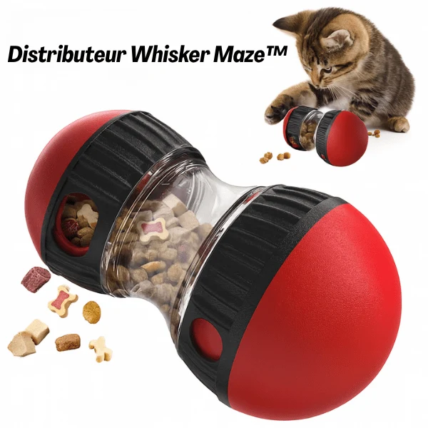 Distributeur de croquettes pour chat | Whisker Maze™