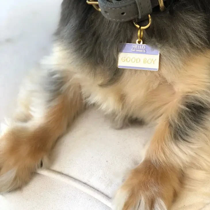 Médaille gravée pour chien personnalisable Good Boy
