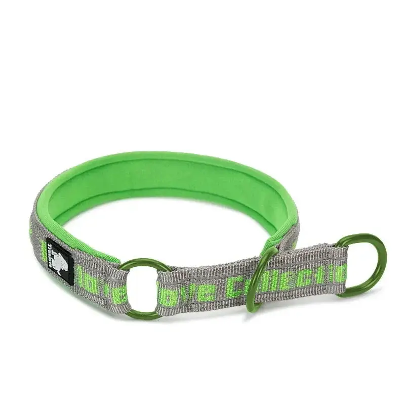 Collier étrangleur chien trulove vert