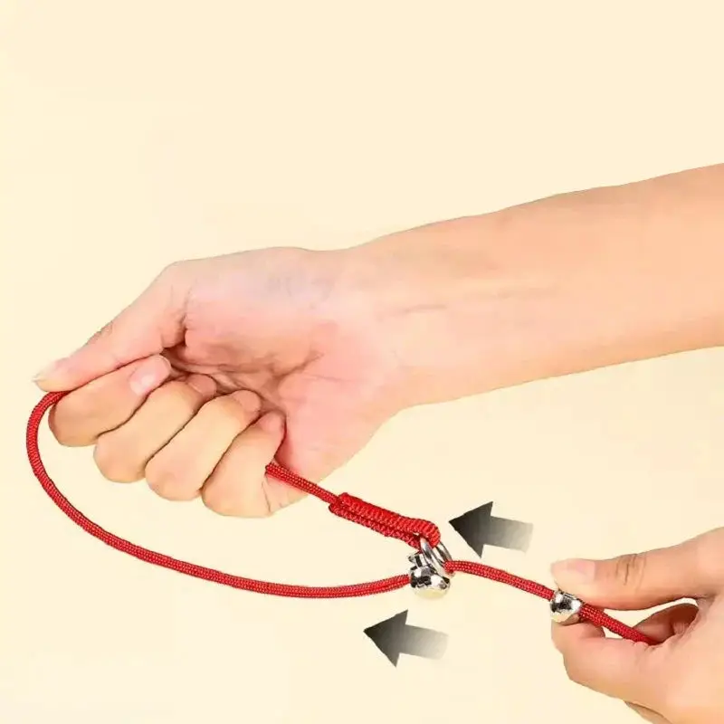 Collier étrangleur de dressage pour grand chien