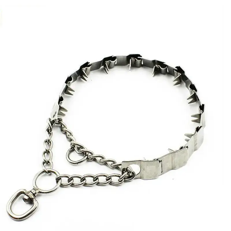 Collier étrangleur durable pour chien