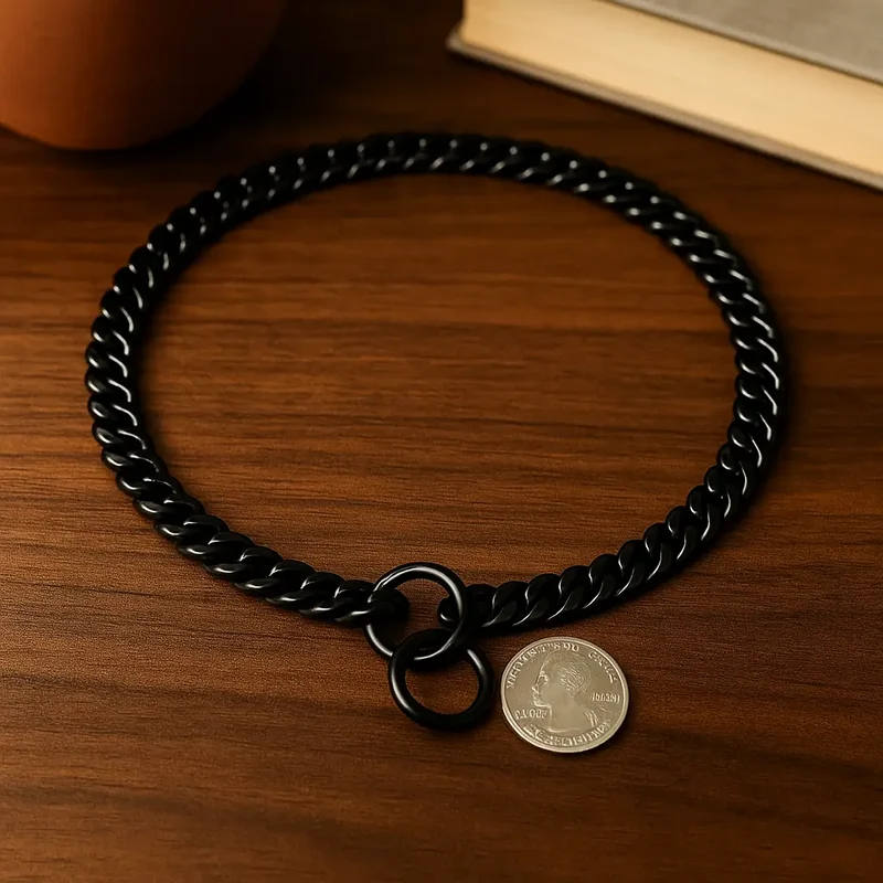 Collier étrangleur pour chien