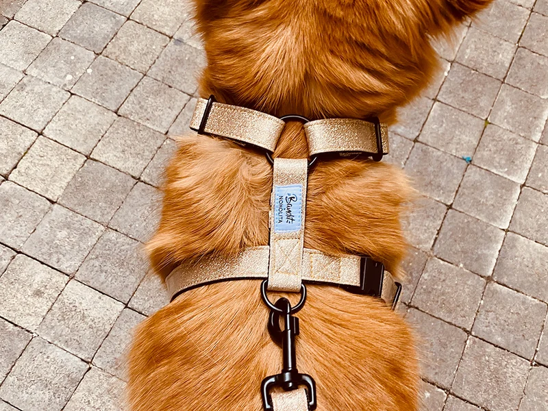 Harnais pour chien à paillettes