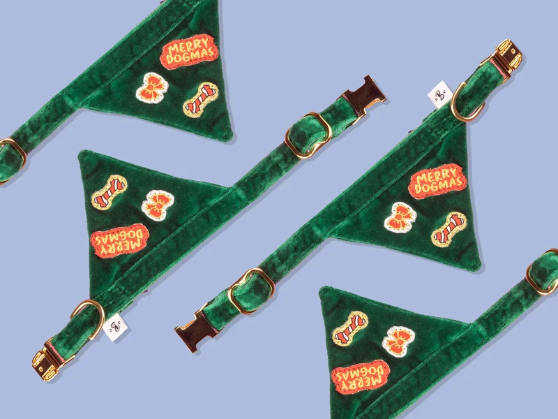 Bandana de Noël pour chat en velours vert