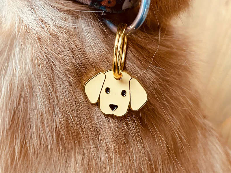 Médaille labrador pour chien