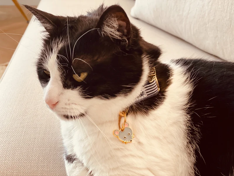 La médaille souris à graver pour chat