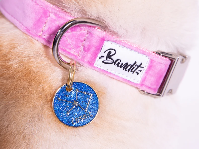 Médaille à paillettes pour chien