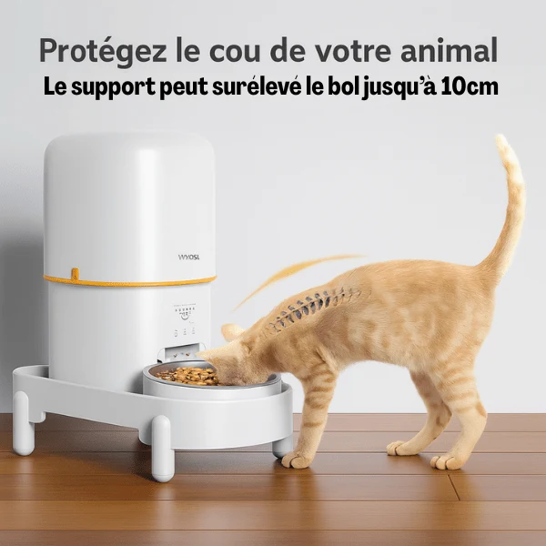 Distributeur de croquettes pour chat | Raised Support™
