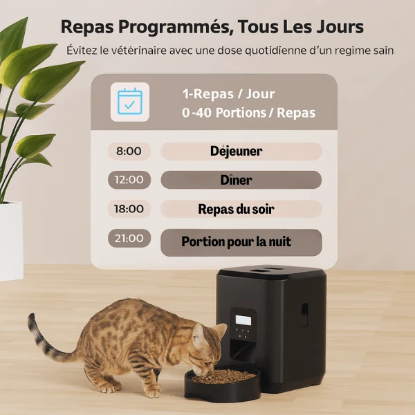 Distributeur de croquettes pour chat automatique - CroqTech™