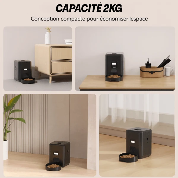 Distributeur de croquettes pour chat automatique - CroqTech™