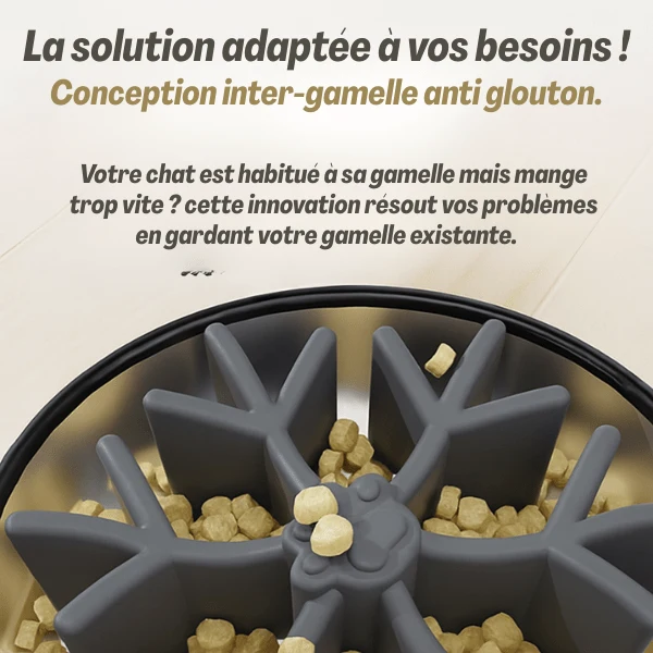 Gamelle pour chat anti glouton - Insert gamelle flocon - InterBowl™