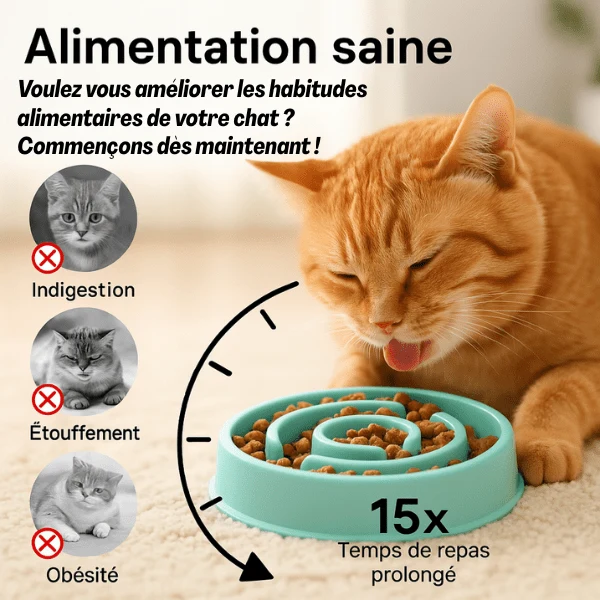 Gamelle chat anti glouton - Relief circulaire compacte - Bowl Control™