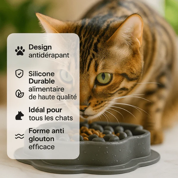Gamelle anti-glouton chat - Reliefs picots doux stable - SiliZen™