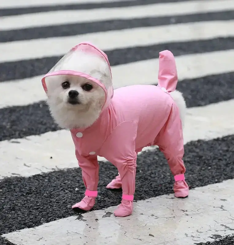 Combinaison imperméable chien