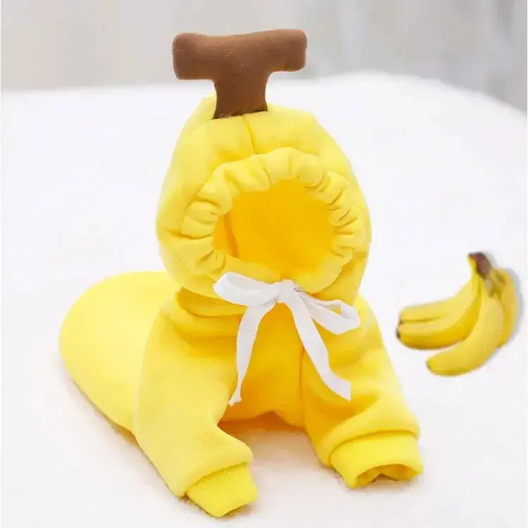 Cosplay fruit pour petit chien