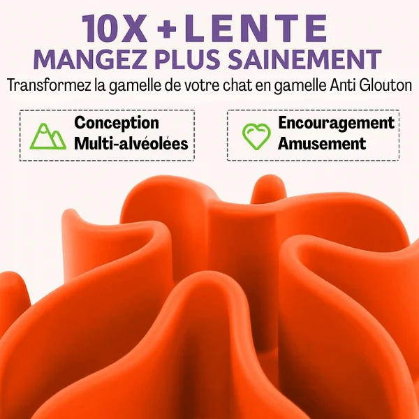 Gamelle anti-glouton chat - Insert silicone à ventouses - BaseBowl™