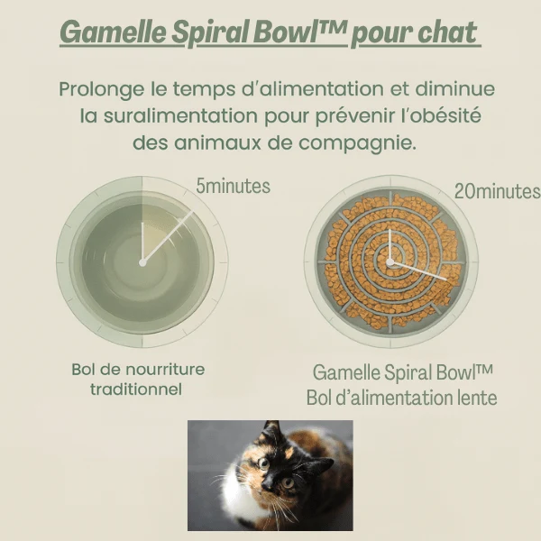 Gamelles anti glouton chat - Labyrinthe anti anxiété - Spiral Bowl™