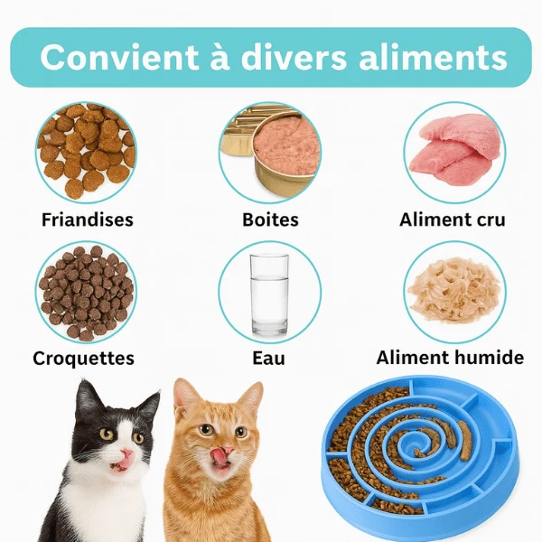 Gamelles anti glouton chat - Labyrinthe anti anxiété - Spiral Bowl™