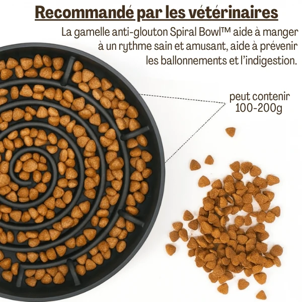 Gamelles anti glouton chat - Labyrinthe anti anxiété - Spiral Bowl™