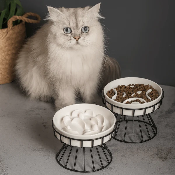 Gamelle anti glouton chat - Surélevée céramique stable - NoRush Bowl™