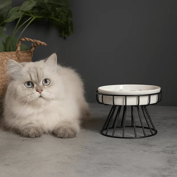 Gamelle anti glouton chat - Surélevée céramique stable - NoRush Bowl™