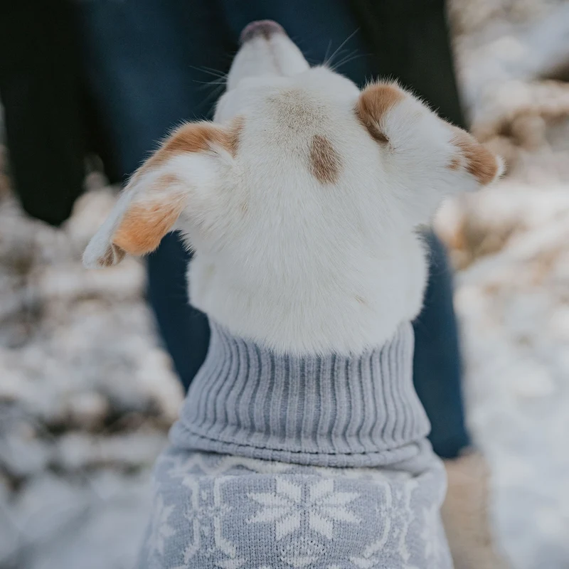 Hundepullover Birka