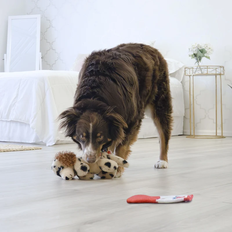 Hundespielzeug KONG® Comfort Pups