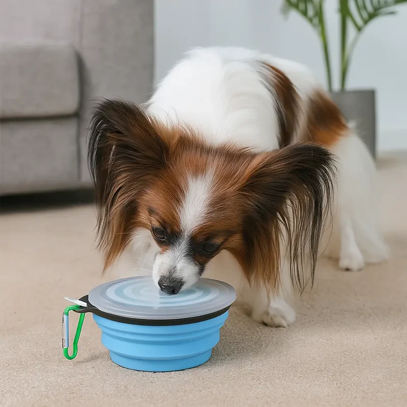 Duo de gamelles pliantes pour chien