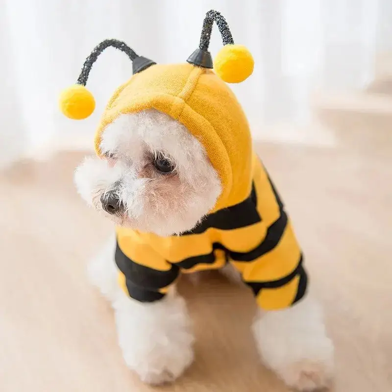 Déguisement abeille pour chien