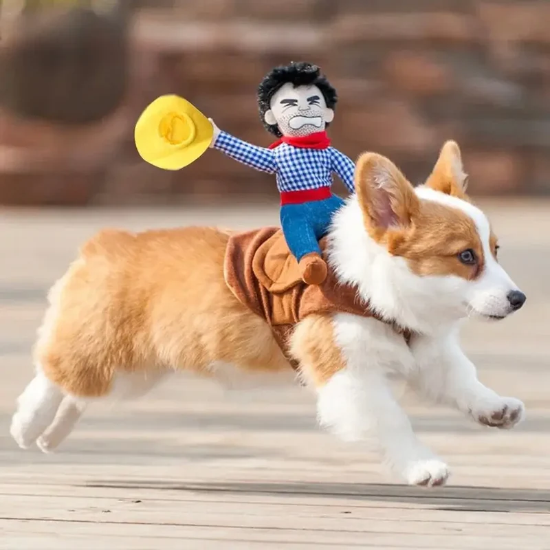 Déguisement Cow-boy pour chien
