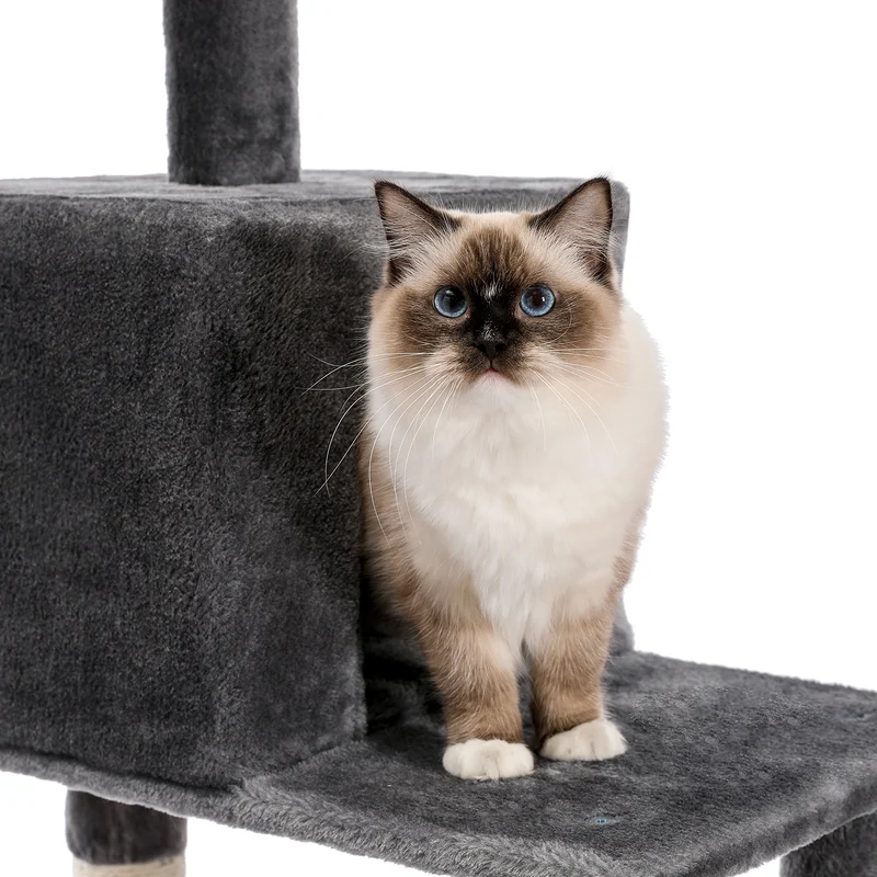 Arbre à chat 149 cm - Modèle : Totumu