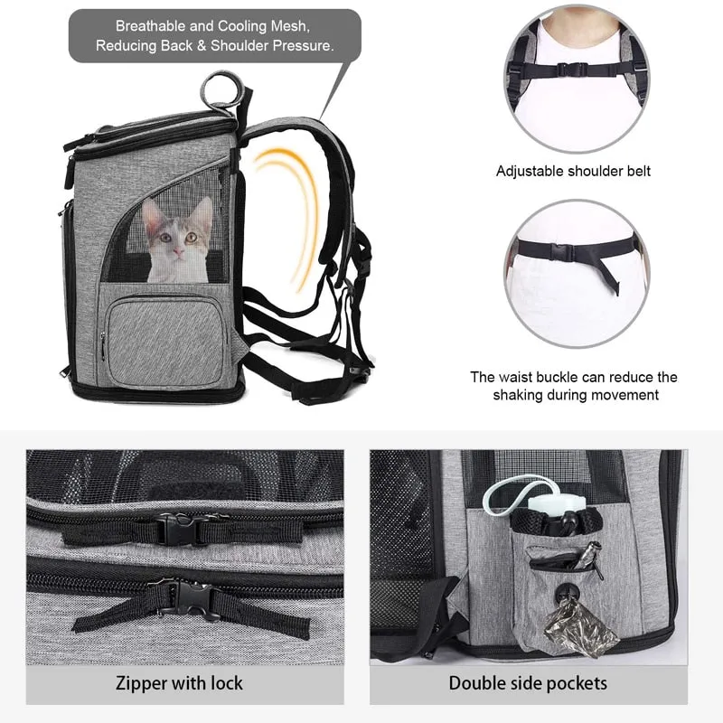 Sac à dos de promenade extensible pour chat – 33 x 27 x 42 cm