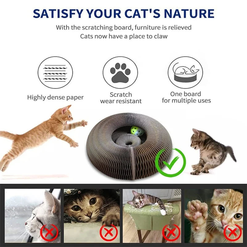 Jouet interactif pour chat