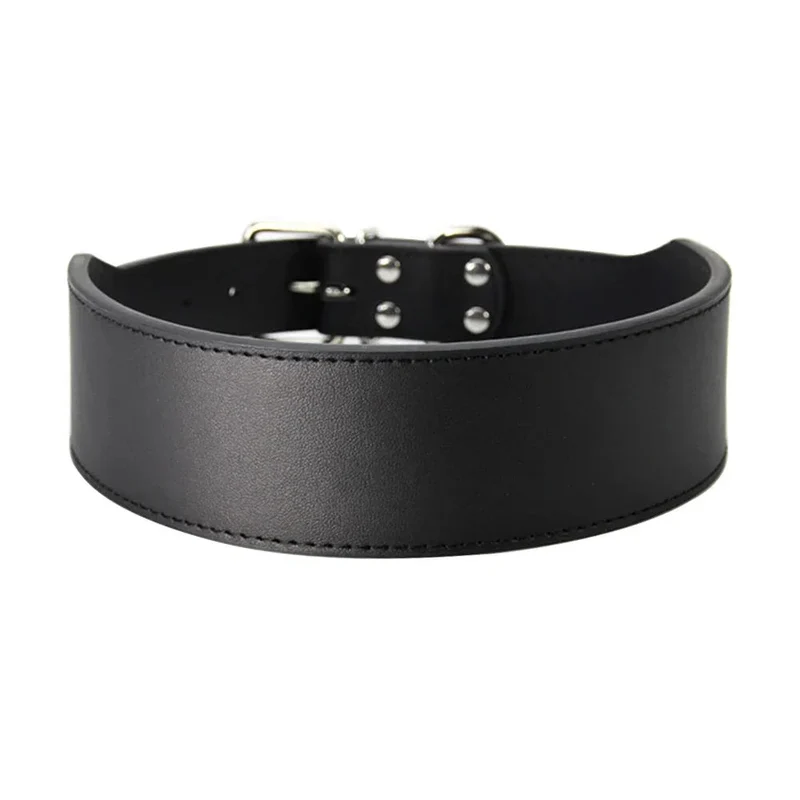 Collier chiot pas cher