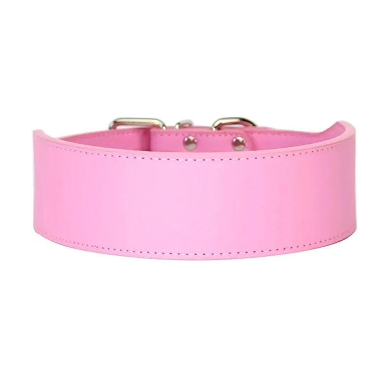 Collier chiot pas cher