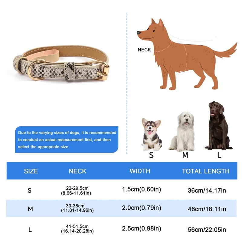Collier chien chic