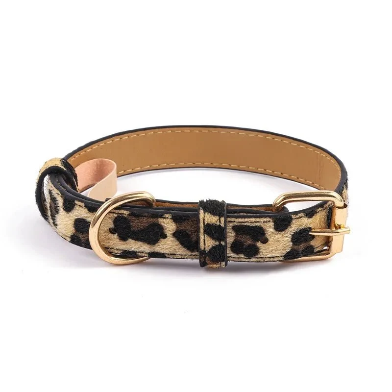 Collier chien chic