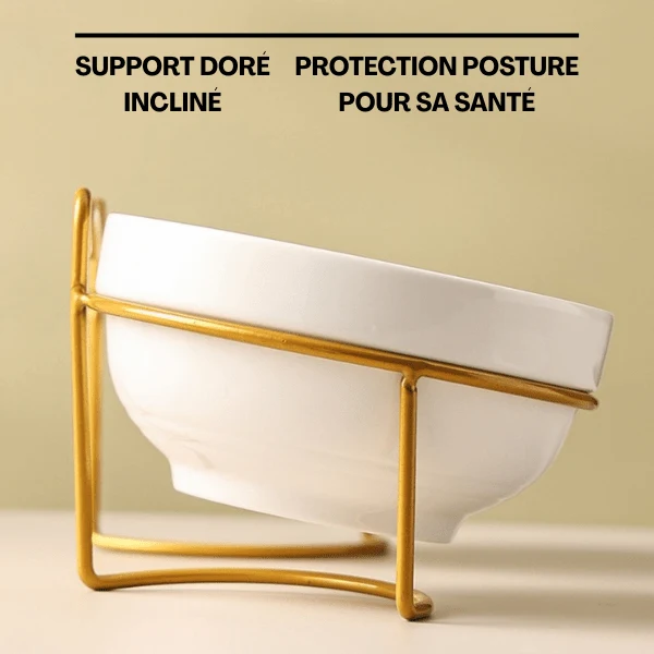 Gamelle pour chat ergonomique - Bol Céramicat™ : bol céramique